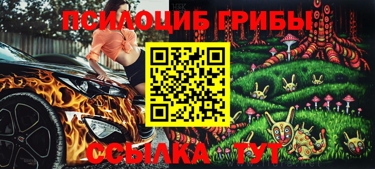 Димитровград  Псилоцибиновые грибы GOLDEN TEACHER  Вход с VPN 