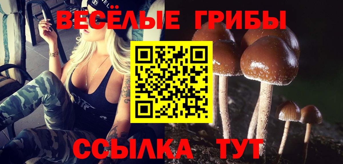 Галлюциногенные грибы MAGIC MUSHROOMS Димитровград
